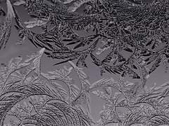 おげんきですか? はたしは げんきです.