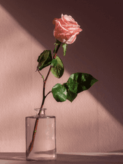 예기치 않은 여왕벌