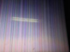 아키바의 봉황과 이진쵸의 용사