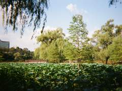 이정도는 누구나 버티는 일 아닐까? 7