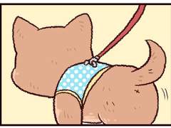 이웃집 할아버지