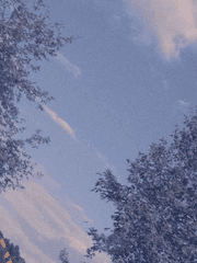 𝐇𝐢𝐫𝐚𝐦 𝐦𝐢𝐥𝐤𝐲 𝐝𝐞 𝐁𝐞𝐥𝐥