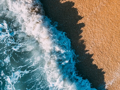 작심삼월 2023 후기