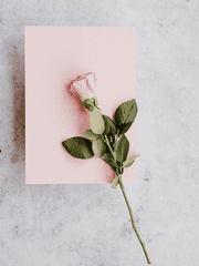 코난썰을그려보자