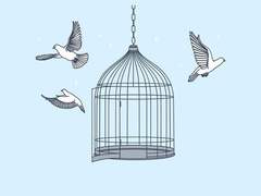 새장 안의 아이