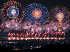 이레귤러의 라이벌