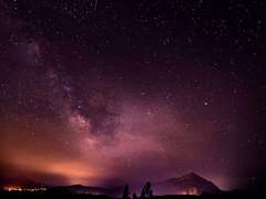 혁명 끝의 그대에게 안녕을