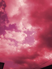 악마의 이야기를 쓰는 소설가