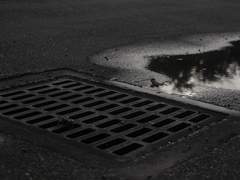 [나연윤건] 비꽃