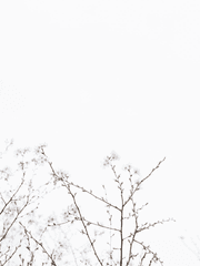 리베라 트리스티