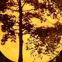 회귀 당하는 스팬담