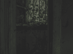 [1] 최후의 일기장; 덮개를 걷다