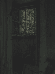 최후의 일기장; 덮개를 걷다