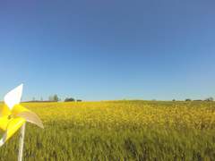 올해는 좋은 운을 꽉 잡아요.