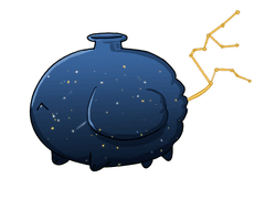 21. 물병자리 윙펫