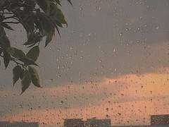 비가 내리는 길