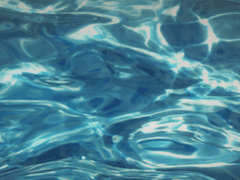 고요한 수면 위에 비춰진 것은