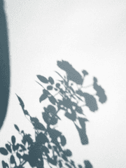 난 문제투성이 럽식