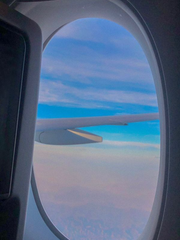 모든 것이 끝나면