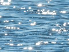 잔물결 위 아스라이 비쳐오는 한 줄기의,