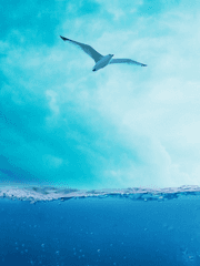 [원피스] 그 새가 언제나 푸르게 타오르길 바란다