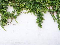 베리 모스턴 / XX / 11