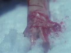 제자 도련님 전정국 X 스승 하인 박지민 下