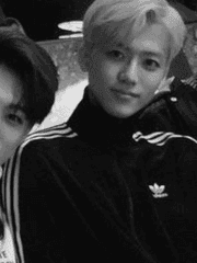 개 싸가지 철벽남 나재민 꼬시기 TALK