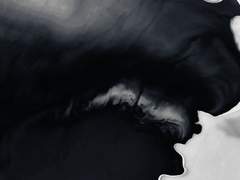 白川 翡翠 | 시로카와 히스이