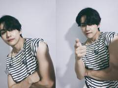 임신한 고양이 보고 싶다 28