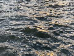 내가 할 수 있다면.