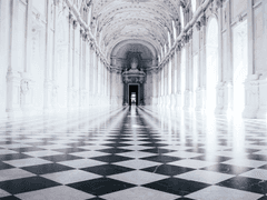 선악대전커 타임라인