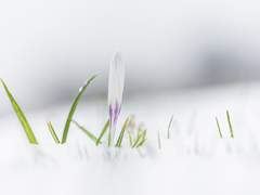 방과후 교실에서 들려오는 목소리