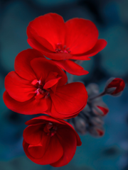 청명사형 육아일기