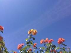 [은규]그날의 너는