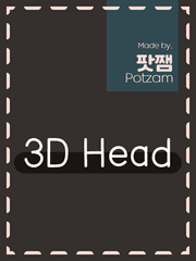 3D헤드