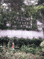 [좀비 아포칼립스] 반지 7개