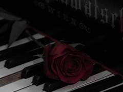 I’m yours. ― forever.