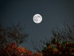 그의 손이 닿는 거리에 8