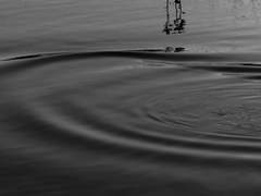 [검존검협]심연에 갇힌 청명