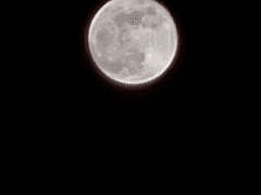 구미호 이야기 <첫 번째 이야기>