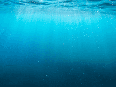 [ 원피스 ] 바다의 황제들 중 최연소로 황제가 된 드림주