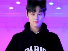 고양이와 동거하기 外 What if 中