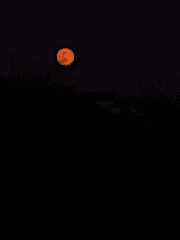 크라우드 새는 맑은 날에 운다