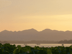 [희신강징] 동향 冬香