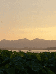 희신강징 리퀘글