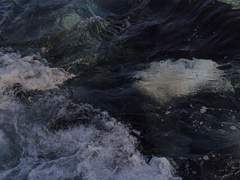 침묵의 르네상스