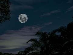 明順應 까지의 달