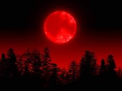 やがて辿り着く そこで死を迎えよう