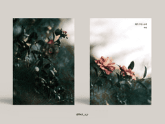 Sold out. 새가 우는 소리